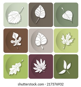 Leaves icon. White silhouettes of leaves of forest trees. Are used as buttons for web design