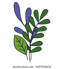 leaves icons design of Floral nature plant garden ornament botany decoration and life theme Vector illustration