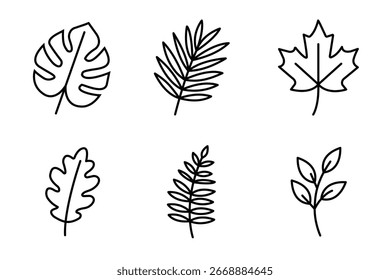 Leaves icons set with editable stroke. Outline vector of monstera, palm, maple, oak, fern and branch with leaves. Minimal botanical symbols for nature, ecology, organic and decoration design.