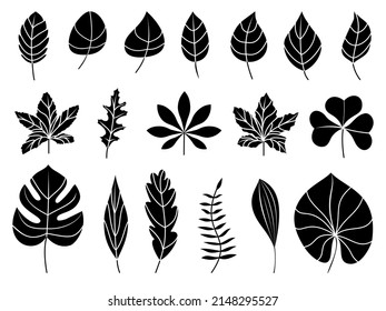 Leaves icons set. Flat black vector botanical elements. Beautiful isolated greens leaf. Organic object for frame, border, ornament divider. Great for greeting card. Silhouet eco collection.