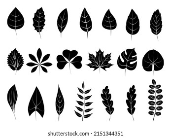 Leaves icons set. Flat black vector botanical elements. Beautiful isolated greens leaf. Organic object for frame, border, ornament divider. Great for greeting card. Silhouet eco collection.