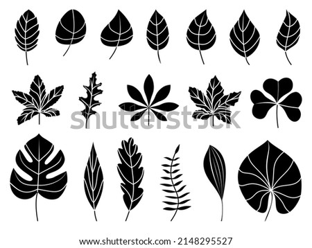 Leaves icons set. Flat black vector botanical elements. Beautiful isolated greens leaf. Organic object for frame, border, ornament divider. Great for greeting card. Silhouet eco collection.