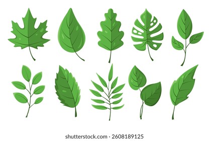 Leaves icons set. Flat green vector botanical elements isolated on white. Floral object for eco projects, logos, design, frame, border, divider.
