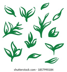 Leaves icons set on white background isolated on white background. Illustartion in hand drawn style of tea leaf. Use for packing tea design, food packing. Tea leaf icon set