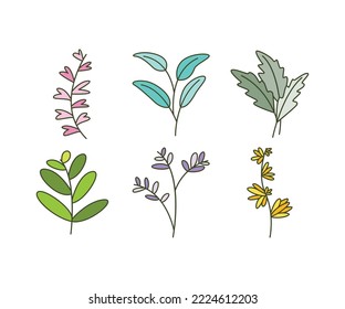 leaves icons set vector illustration