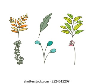 iconos de hoja conjunto de ilustración vectorial