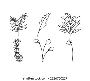 leaves icons set vector line illustration