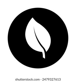 leaves icons vector. nature sign illustration. tree symbol. Ecology logo.