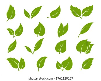 Leaves icons. Young green leaves trees and plants various elegance shapes, herbal tea leaf eco, bio organic foliage landscaping environment vector silhouette set