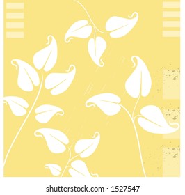 leaves illustration