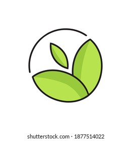 Leaves illustration for company logo. a modern vector design