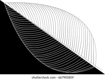 Leaves - illustration ,Computer Icon, Vector, Environmental Conservation, Nature Monochrome