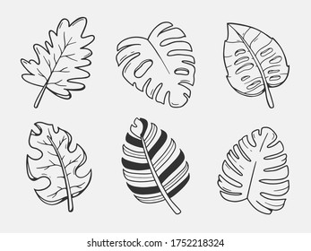 Illustrationen. Satz von Vektorblättern. handgezeichnete Kunst.