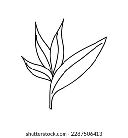 leaves illustration vector design icon isolated