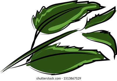 Leaves, illustration, vector on white background.