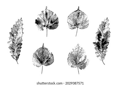 Leaves imprints set. Hand-made gouache prints on paper. Paint impressions, stamps. Autumn pictures for your design. Made using frottage technique.  Isolated. Vector illustration