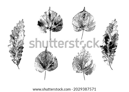 Leaves imprints set. Hand-made gouache prints on paper. Paint impressions, stamps. Autumn pictures for your design. Made using frottage technique.  Isolated. Vector illustration
