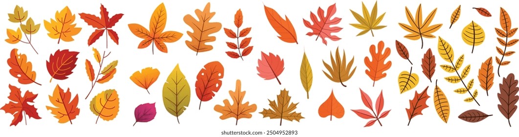 Leaves isolated, Collection of multi-colored autumn leaves isolated on white background