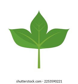 leaves isolated design icon flat