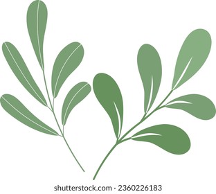 Leaves isolated design vector. leaves clipart. watercolour green leaves element. hand drawn leaves isolated. hand drawn clipart vector 