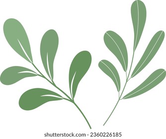 Deja un vector de diseño aislado. hojas clipart. elemento de hojas verde acuarela. hojas dibujadas a mano aisladas. vector de clipart dibujado a mano 