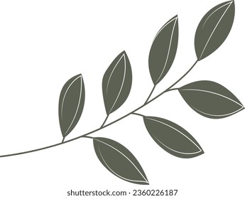 Leaves isolated design vector. leaves clipart. watercolour green leaves element. hand drawn leaves isolated. hand drawn clipart vector 