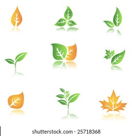Leaves isolated on a white background