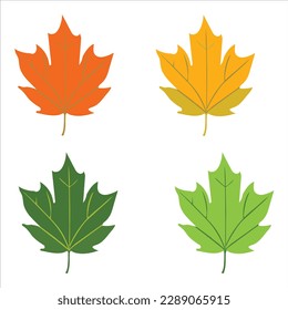 leaves isolated on white background-vector Artwork.