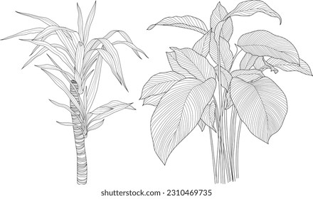 Leaves isolated on white collection. Tropical leaves set. Hand drawn abstract illustration.