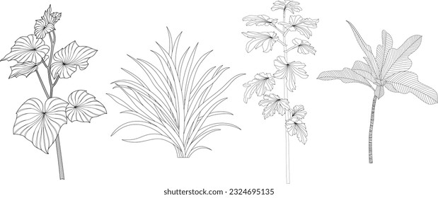 Leaves isolated on white collection. Tropical leaves set. Hand drawn abstract illustration.