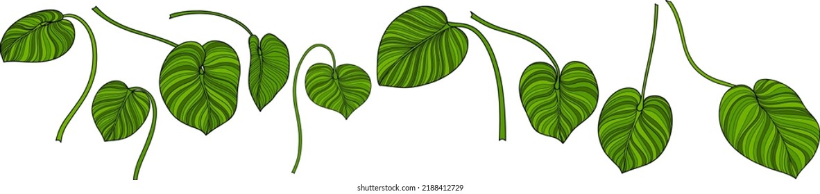 Leaves isolated on white. Green tropical leaves. Hand drawn vector illustration