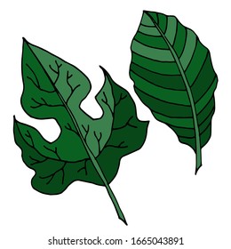 Leaves isolated sketch. Vector leaves of different trees. Seasons