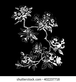 Leaves isolated tree wallpaper bud print berry oriental floral white spring chinese flower vector tender botanical summer east blossom drawing card black traditional cute strokes illustration cherry