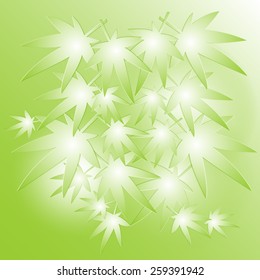 Leaves of Japanese maple on the green background, vector, eps 10