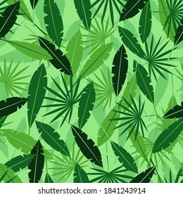 Leaves in jungle background. Tropical green plants with exotic shapes summer in Hawaii with thickets of plants and lianas fern forests in misty haze rain and vector vapor.