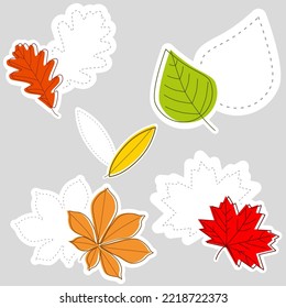 Etikette der Blätter, Eiche, Ahorn, Kastanienblatt. Grün, orange, gelb, Herbstetiketten.