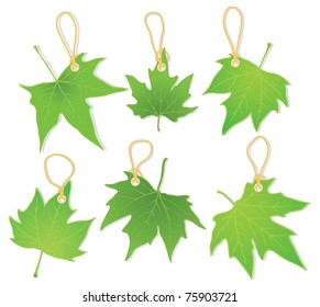 leaves as labels