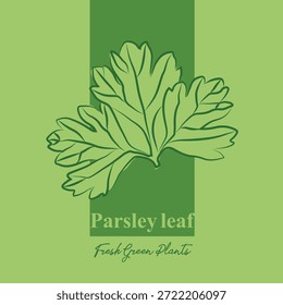 Blätter Etiketten mit handgezeichnetem Stil, Verpackungsdesign mit Frucht-Icons und Text, minimales und buntes Etikettendesign, Etikettendesign-Aufkleber für Verpackungen, bearbeitbare druckfertige Vektorvorlagen-Datei-Illustration herunterladen, Obst und Nüsse Food Label-Vorlagen-Set. Abstrakte Vektorverpackung Design Layouts Kollektion, Petersilienblatt, Umrisszeichnung