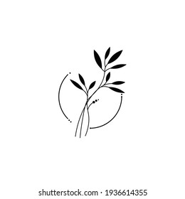 Leaves. Leaf branches logo icon. Vector illustration