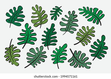 leaves leaf foliage stalk hand drawn sketch