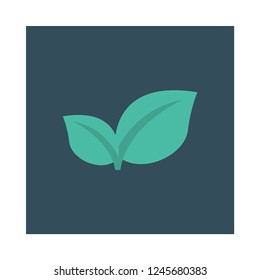 leaves   leaf  spa 