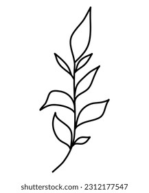 leaves line art botanical illustration