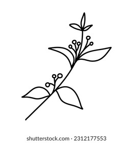 leaves line art botanical illustration