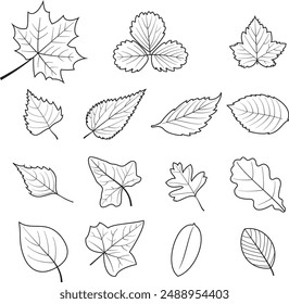 Leaves line art collection vector.