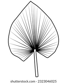 leaves line art outline botanical illustration