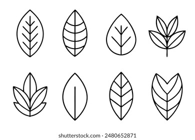 Leaves Line Art A Set of Illustrations