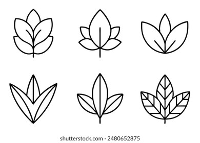 Leaves Line Art A Set of Illustrations