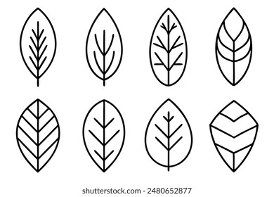 Leaves Line Art A Set of Illustrations