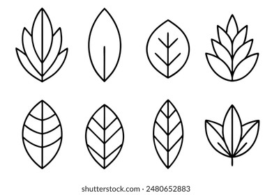 Leaves Line Art A Set of Illustrations