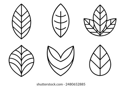 Leaves Line Art A Set of Illustrations
